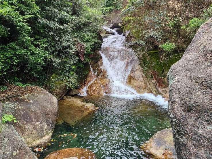 太阁立志传5